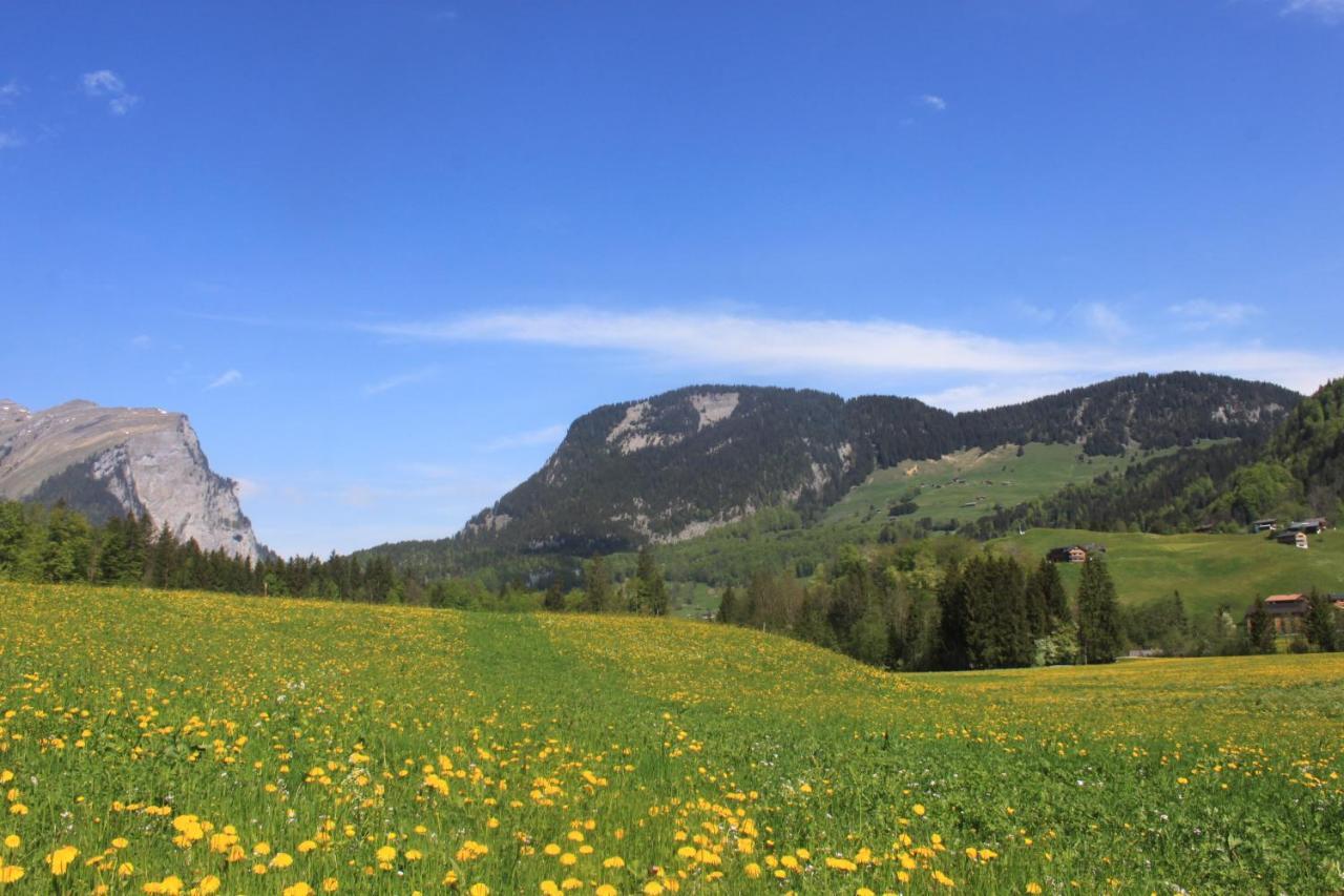 Kanistraum Appartement Schoppernau Eksteriør bilde
